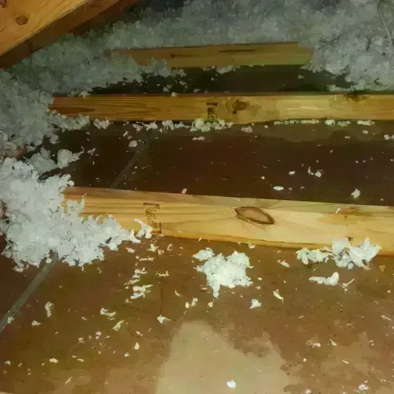 Attic Water Damage in York County, ME